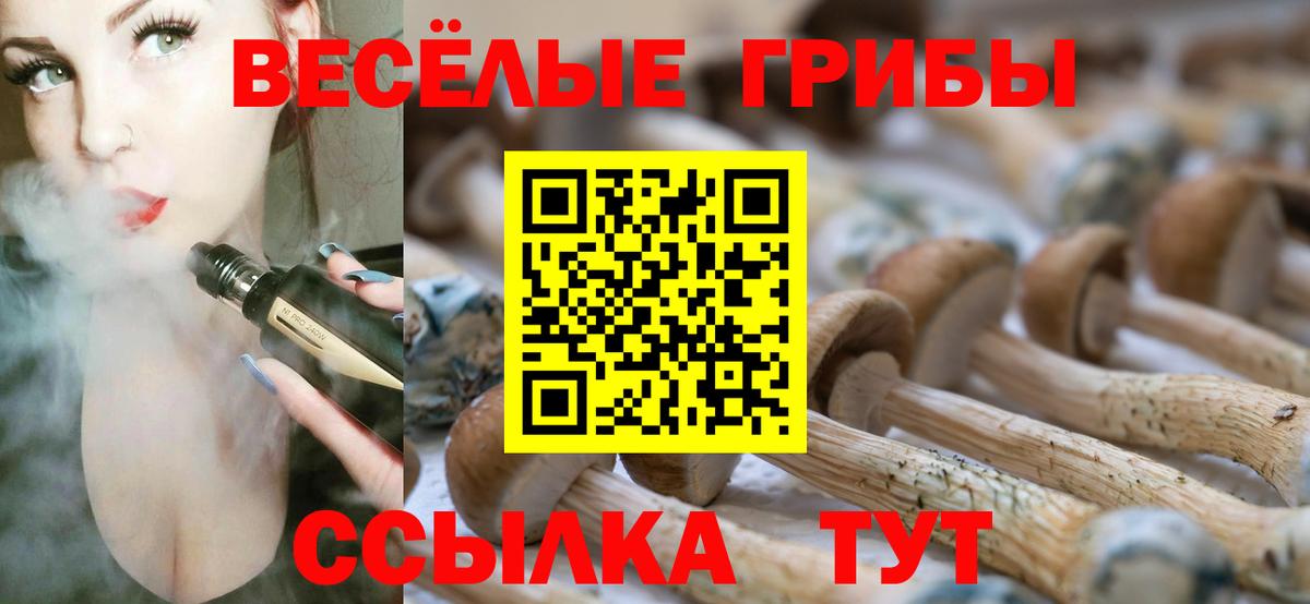 Псилоцибиновые грибы мицелий Гуково